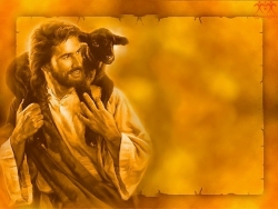 Cửa chuồng chiên